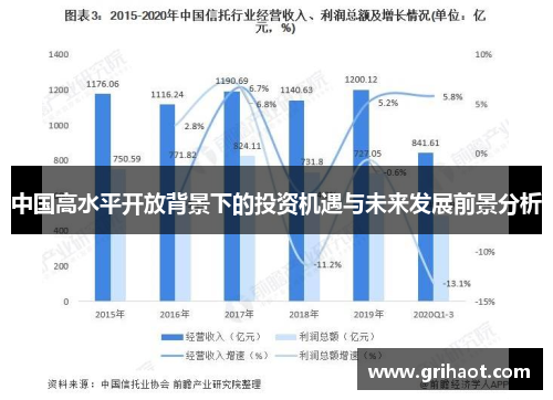 中国高水平开放背景下的投资机遇与未来发展前景分析
