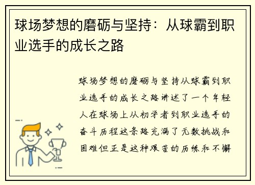 球场梦想的磨砺与坚持：从球霸到职业选手的成长之路