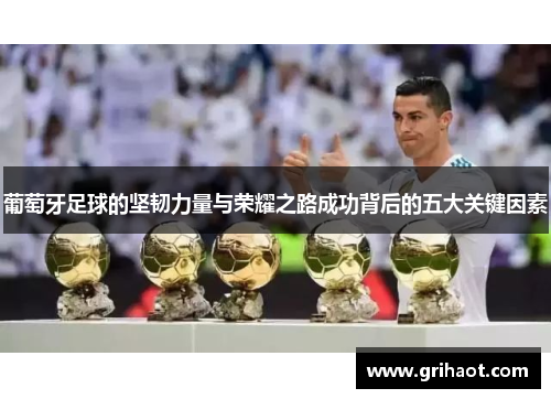 葡萄牙足球的坚韧力量与荣耀之路成功背后的五大关键因素